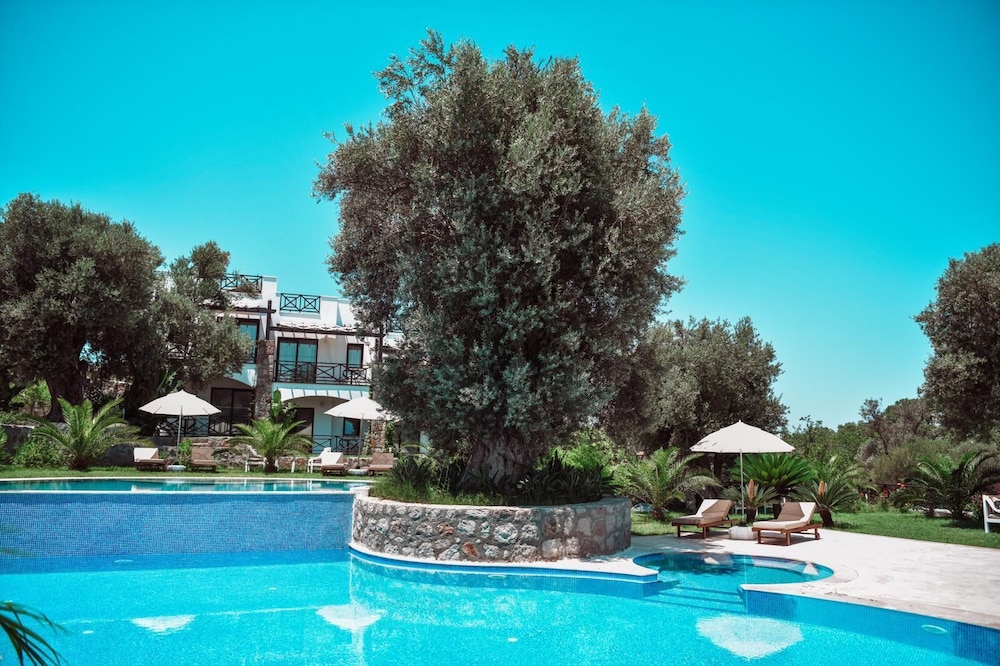 Amore Boutique Hotel 46/50