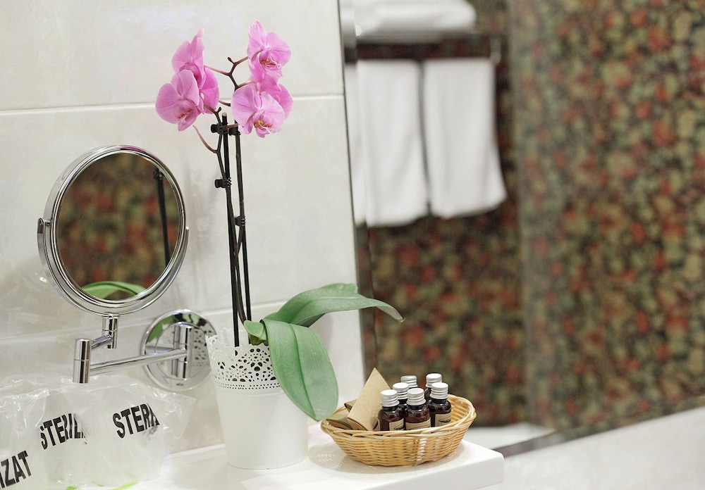 HOTEL BOUTIQUE BELVEDERE SINAIA 19/60