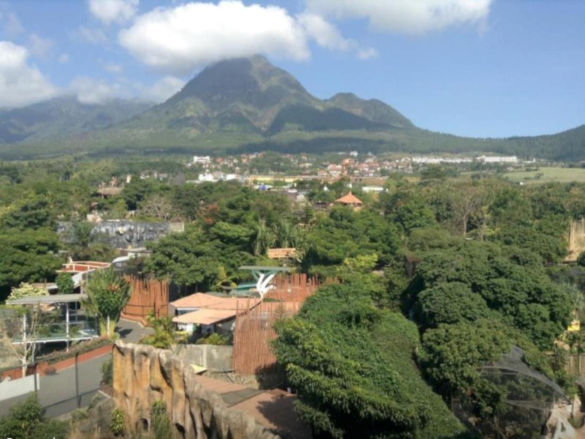 Pohon Inn Hotel 21/24