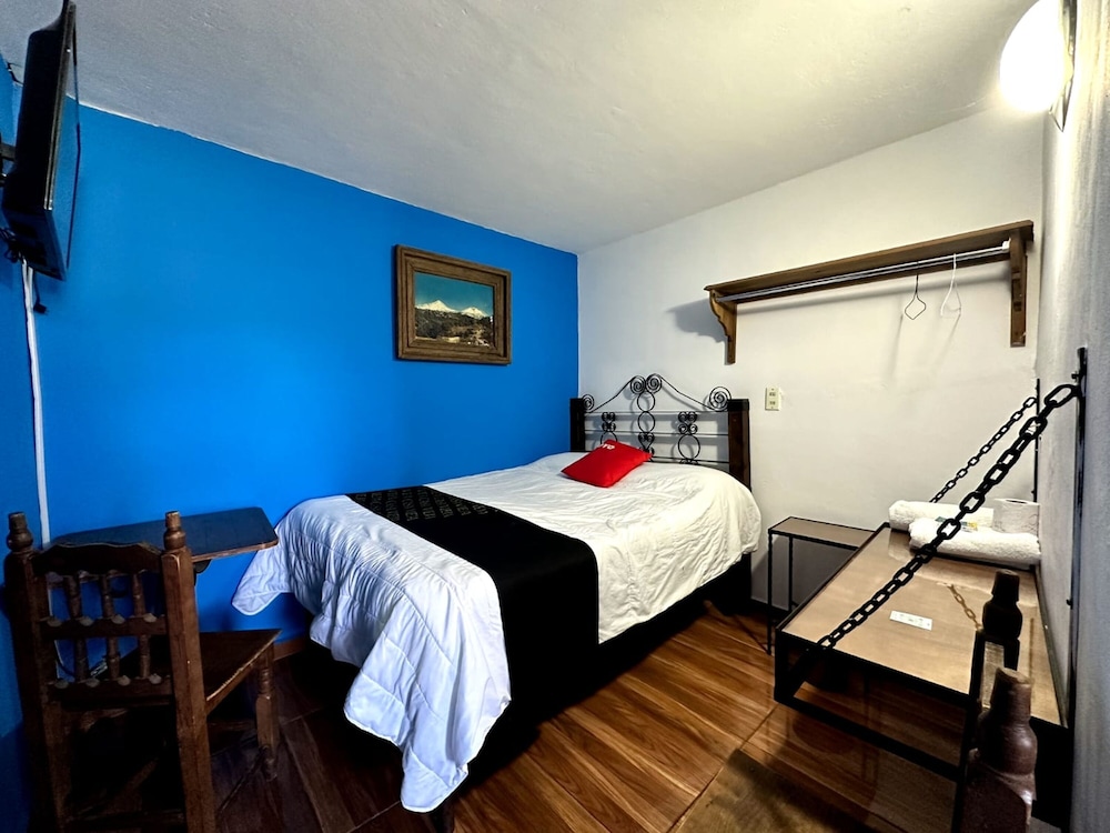 OYO Casa Vieja 17/49