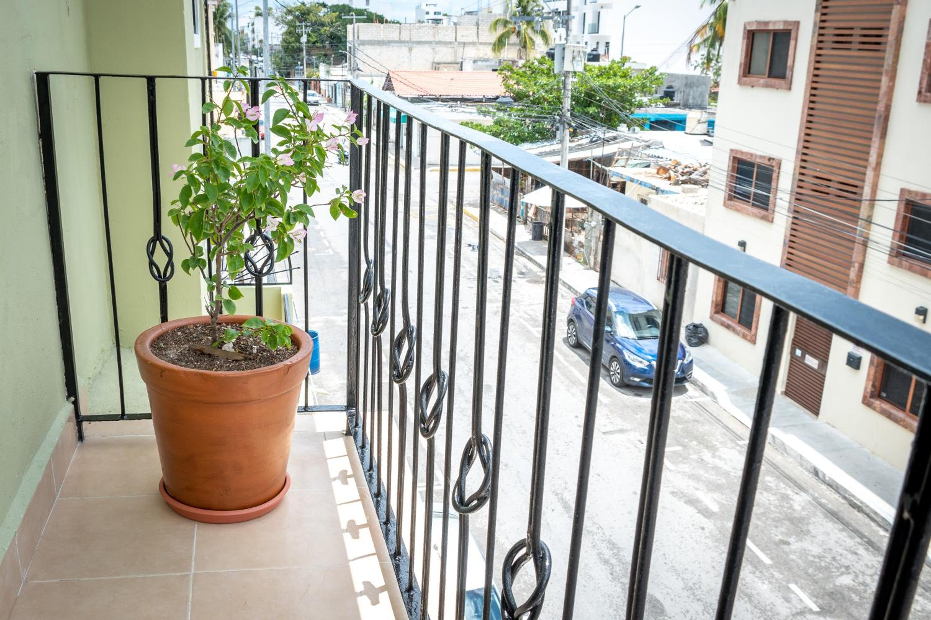 Casa Rodina 29/47