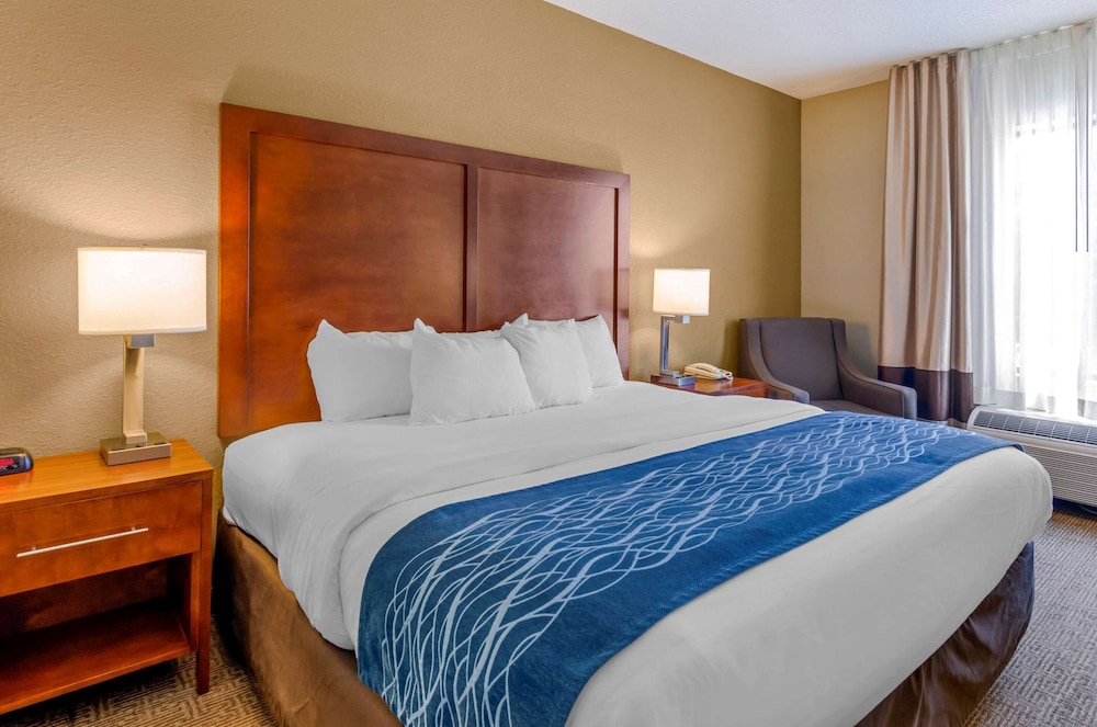 Comfort Inn & Suites Lynchburg Airport - University Area 15/40