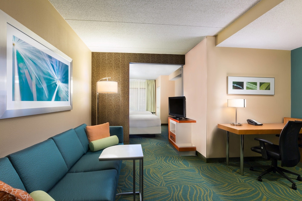 Springhill Suites by Marriott Austin South 22/31