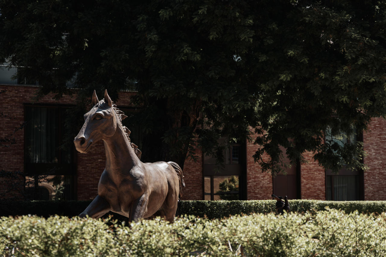 Hotel Les Haras 42/50