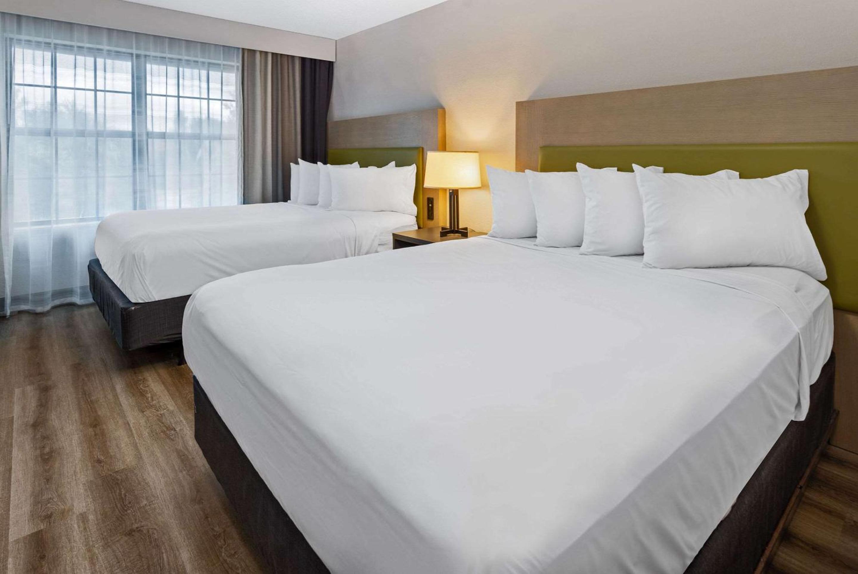 Room, Queen Bed, Accessible