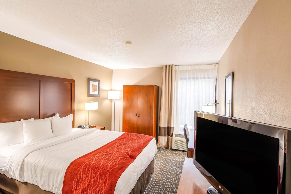Comfort Inn Greenville - Haywood Mall 16/55