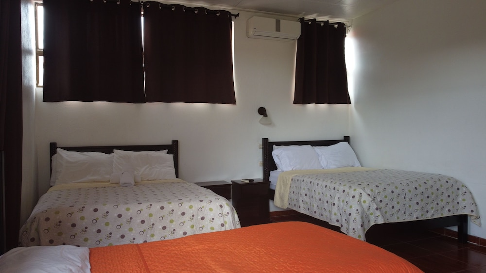 1 Bedroom, Family, Bunk Bed, 3 Beds, Hill View, Pool Access