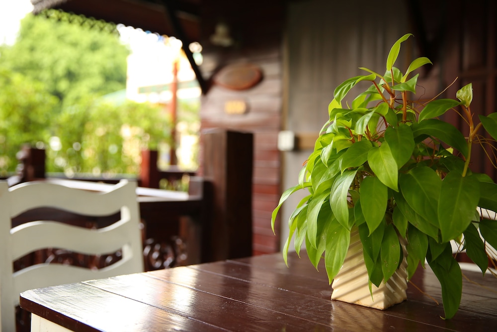 Diana Garden Resort 11/48