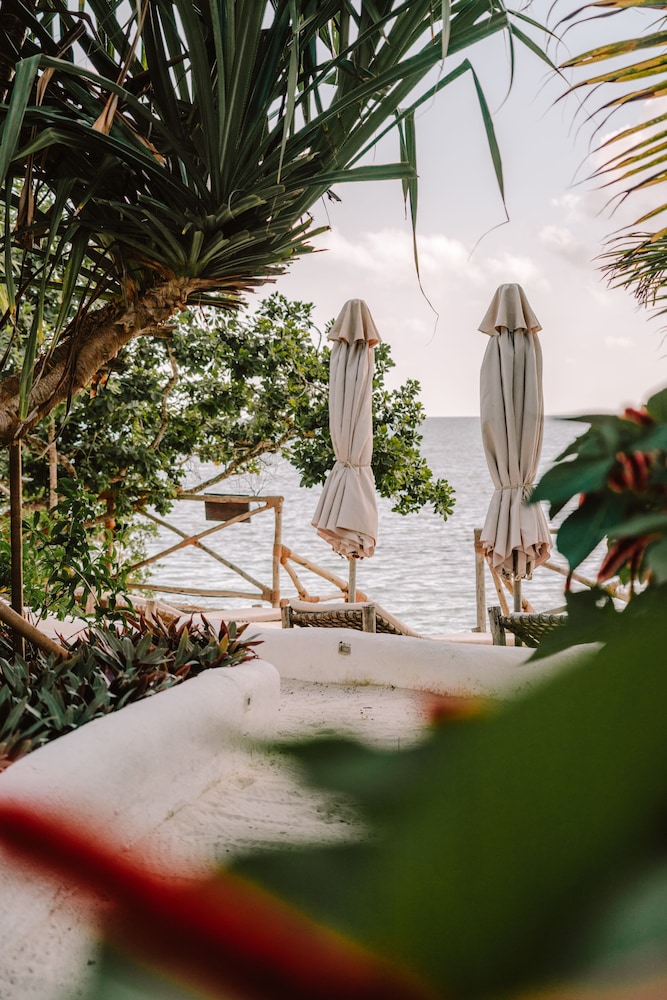 The Island Pongwe Lodge 47/59