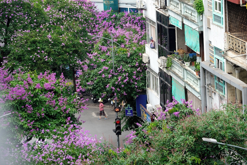 Wilque Hotel Hanoi 45/50