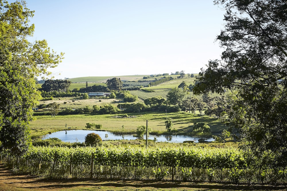 The Devon Valley Hotel 40/50