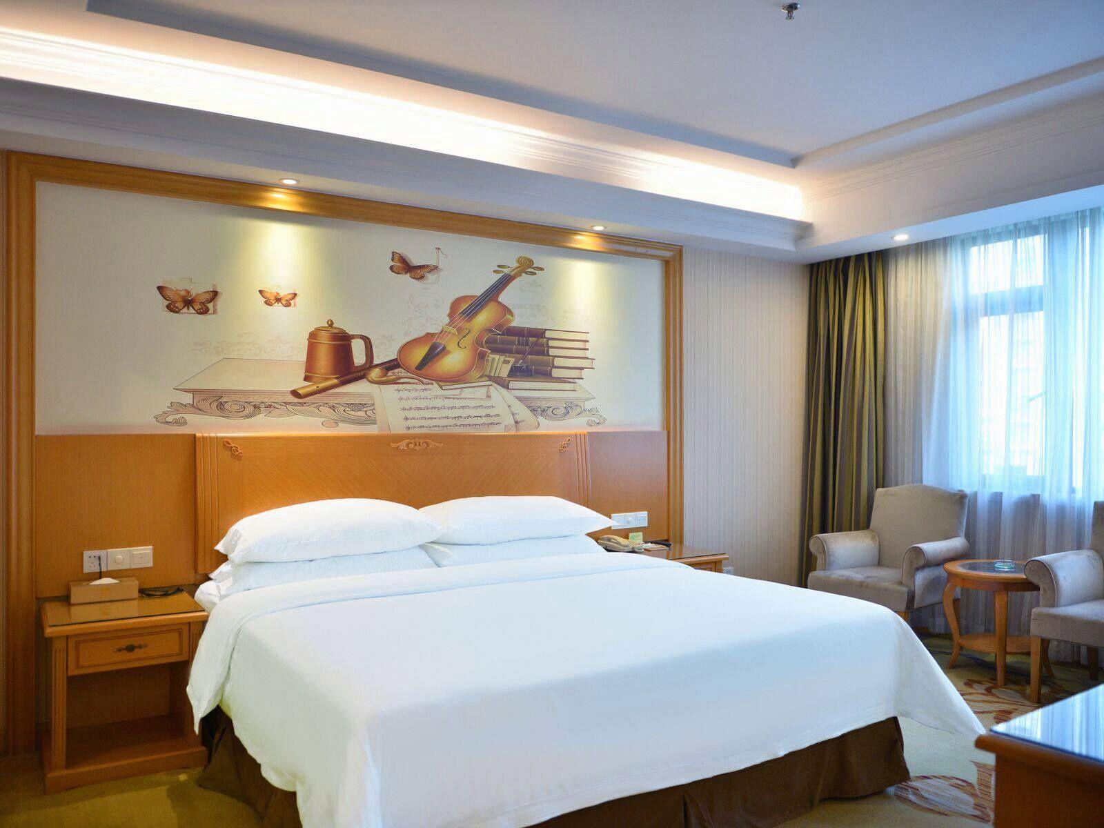 Vienna Hotel (Shenzhen Taoyuanju) 33/59