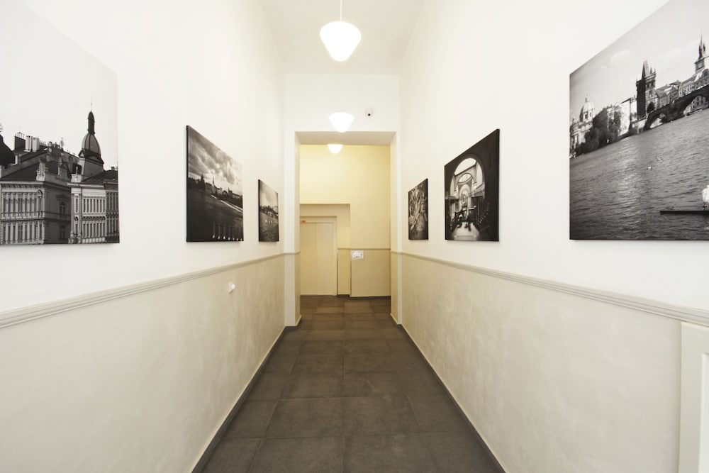 Alveo Suites 6/45