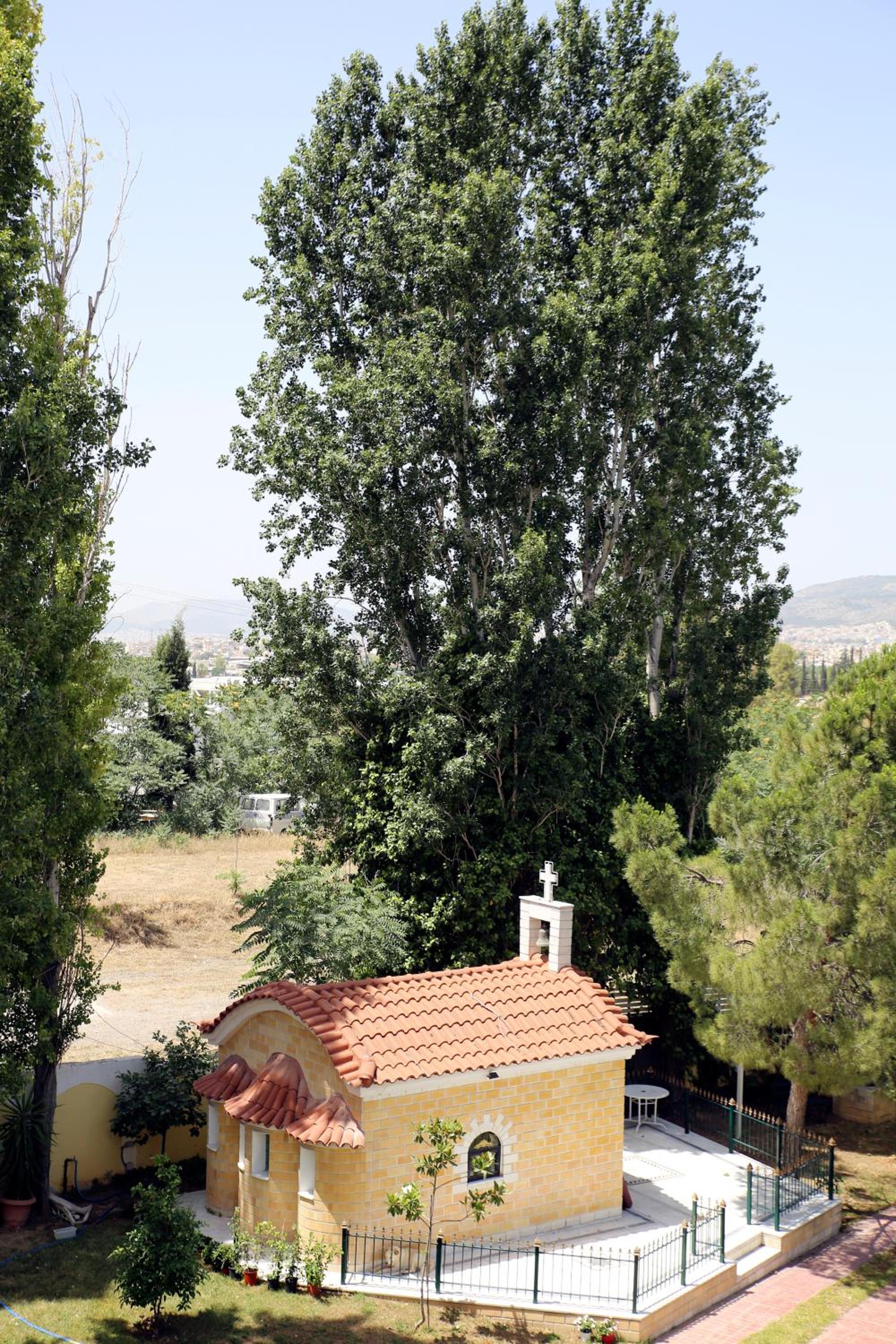 Hotel Anesi 22/24