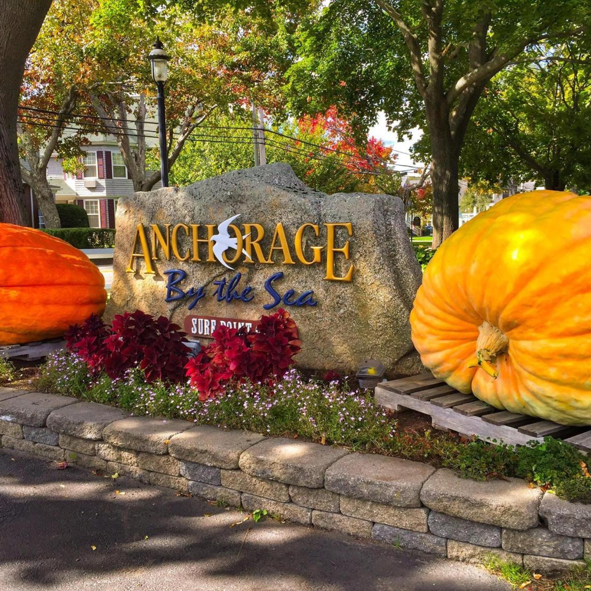 Anchorage By The Sea 46/50