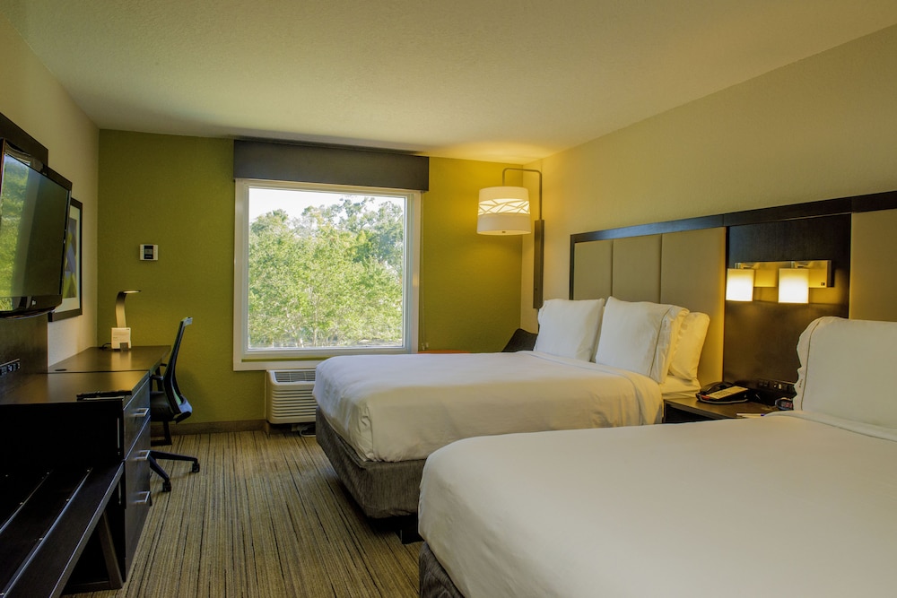 Holiday Inn Express and Suites St. Petersburg North (I-275), an IHG Hotel 14/58