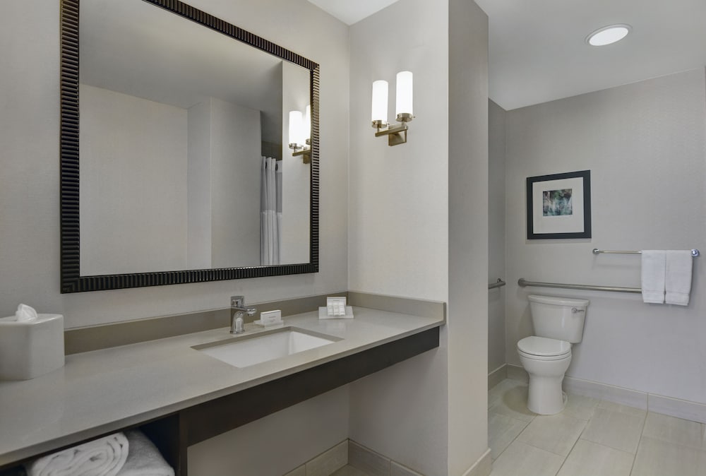 Embassy Suites by Hilton Chicago Downtown River North 24/78