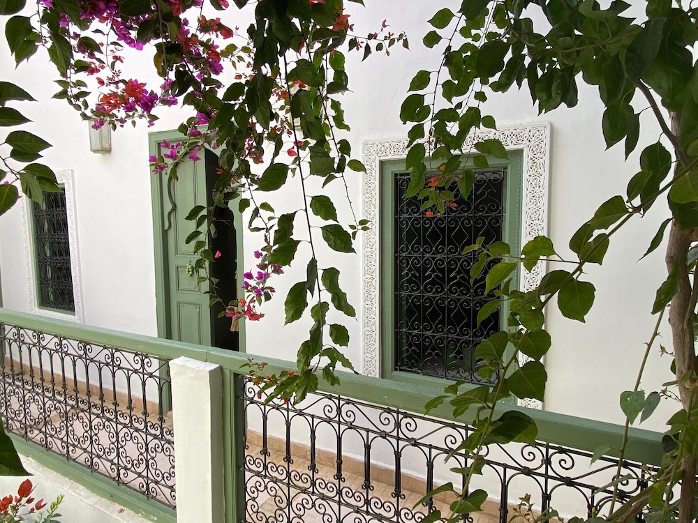 Riad Timila 6/50