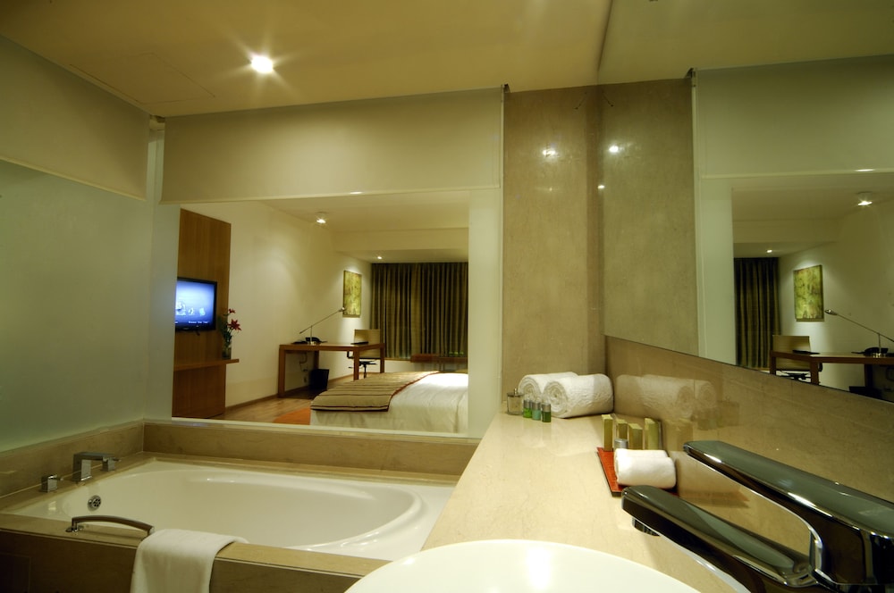 Radisson Blu Plaza Hotel Hyderabad Banjara Hills 34/73
