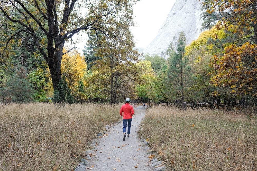 The Ahwahnee 39/50
