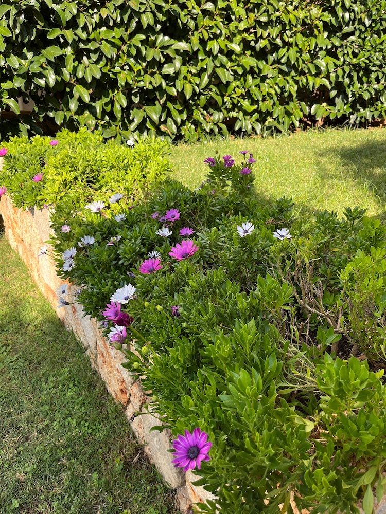 Carruba Boutique Hotel 36/50