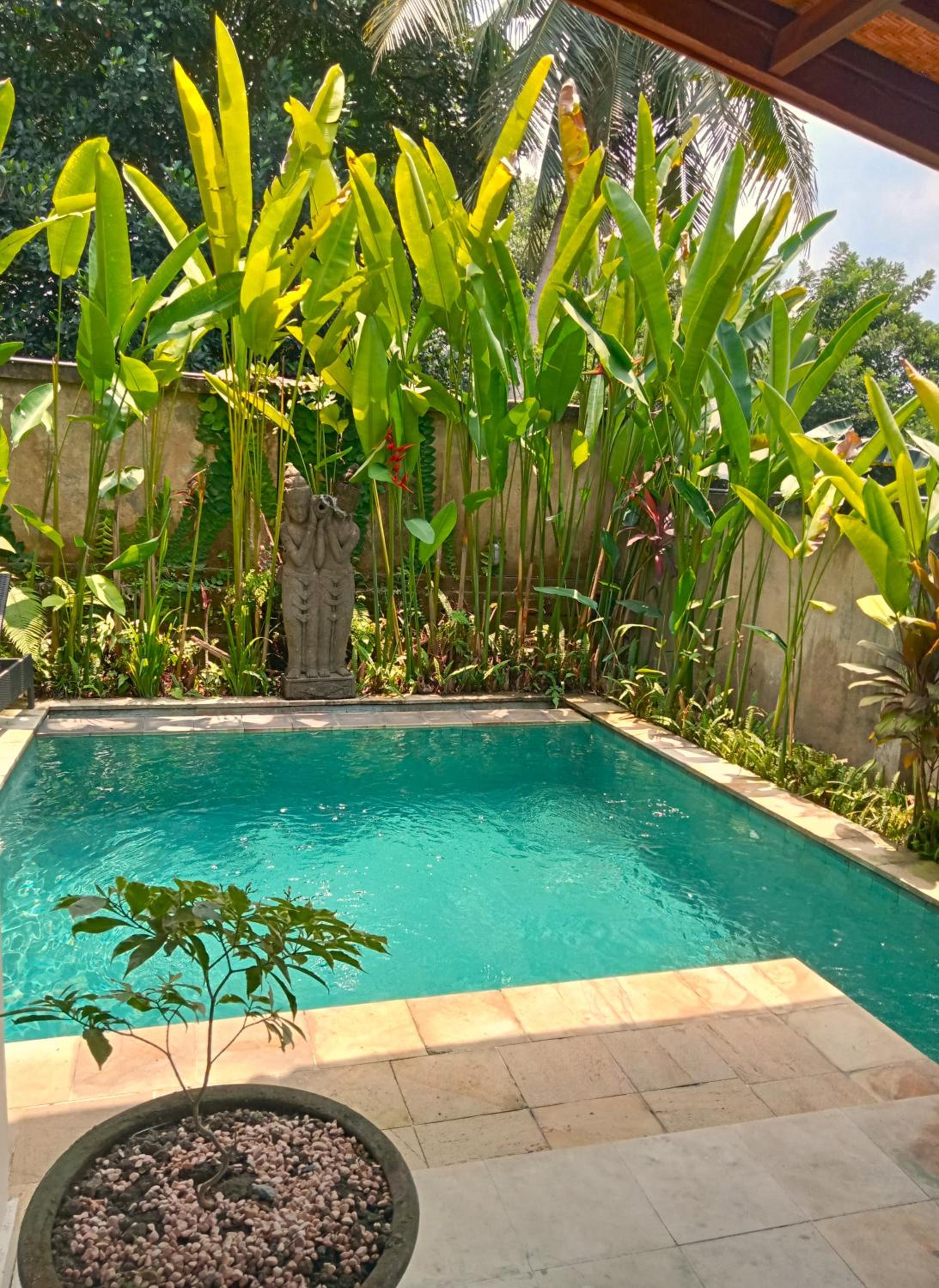 Lily Lane Villas 45/50
