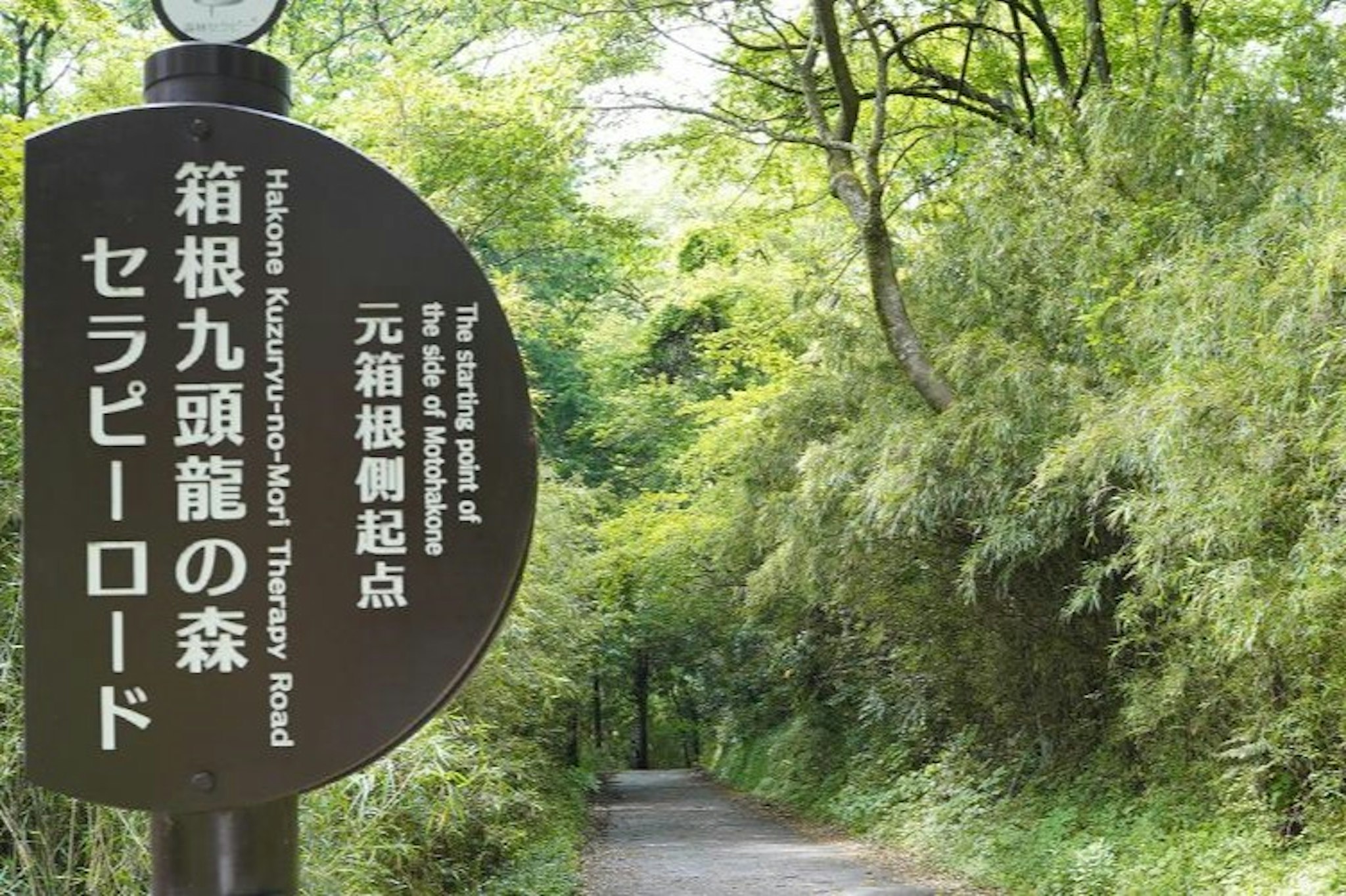 The Prince Hakone Lake Ashinoko 6/50