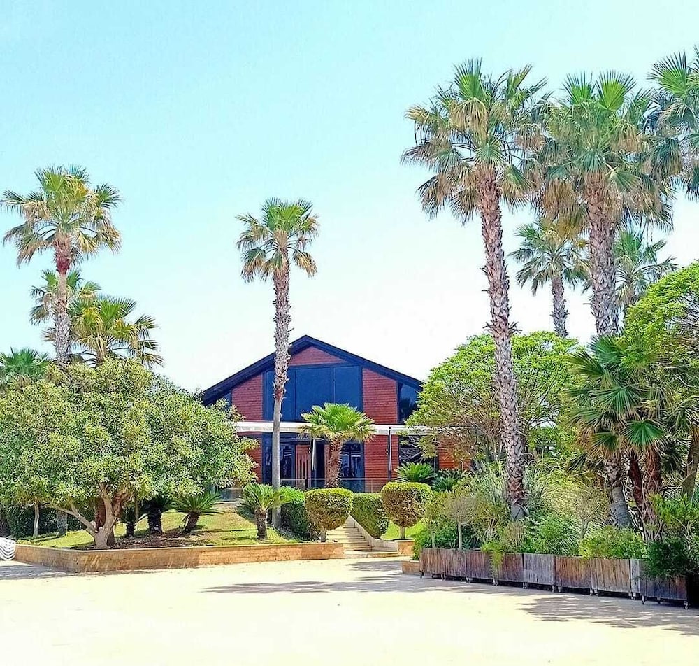 Turquoise Beach Resort Tyre 2/50