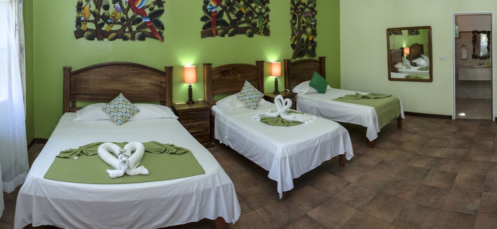 Caribbean Paradise Eco-Lodge 13/50