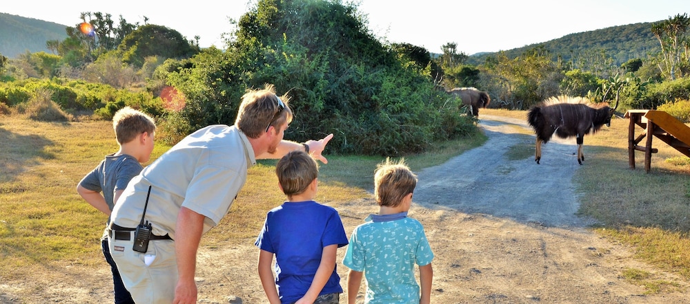 Sibuya Game Reserve 21/50