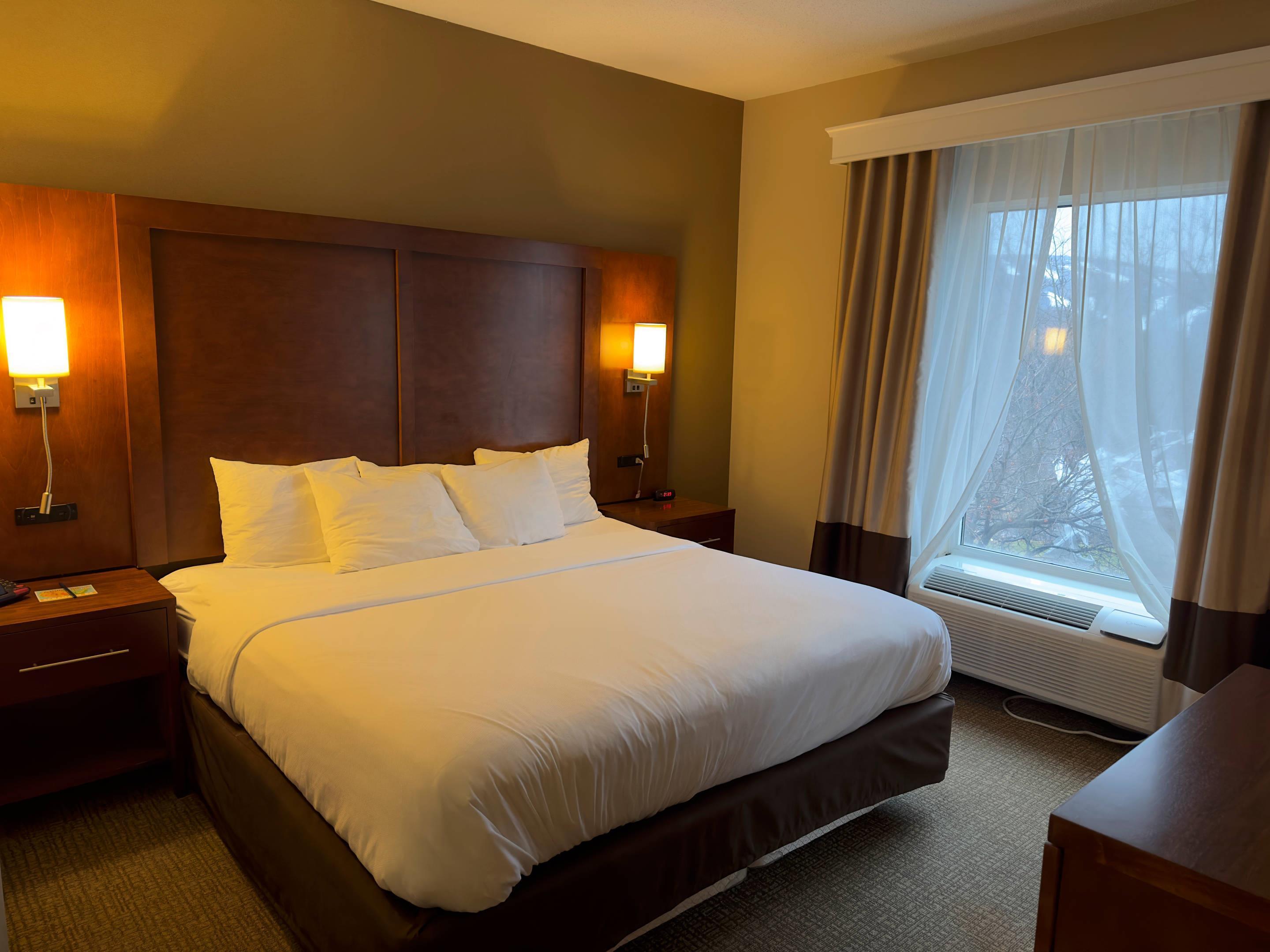 Efficiency, Suite, King Bed