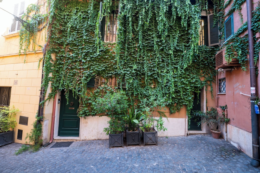 Wonder Lovely Navona 46/50