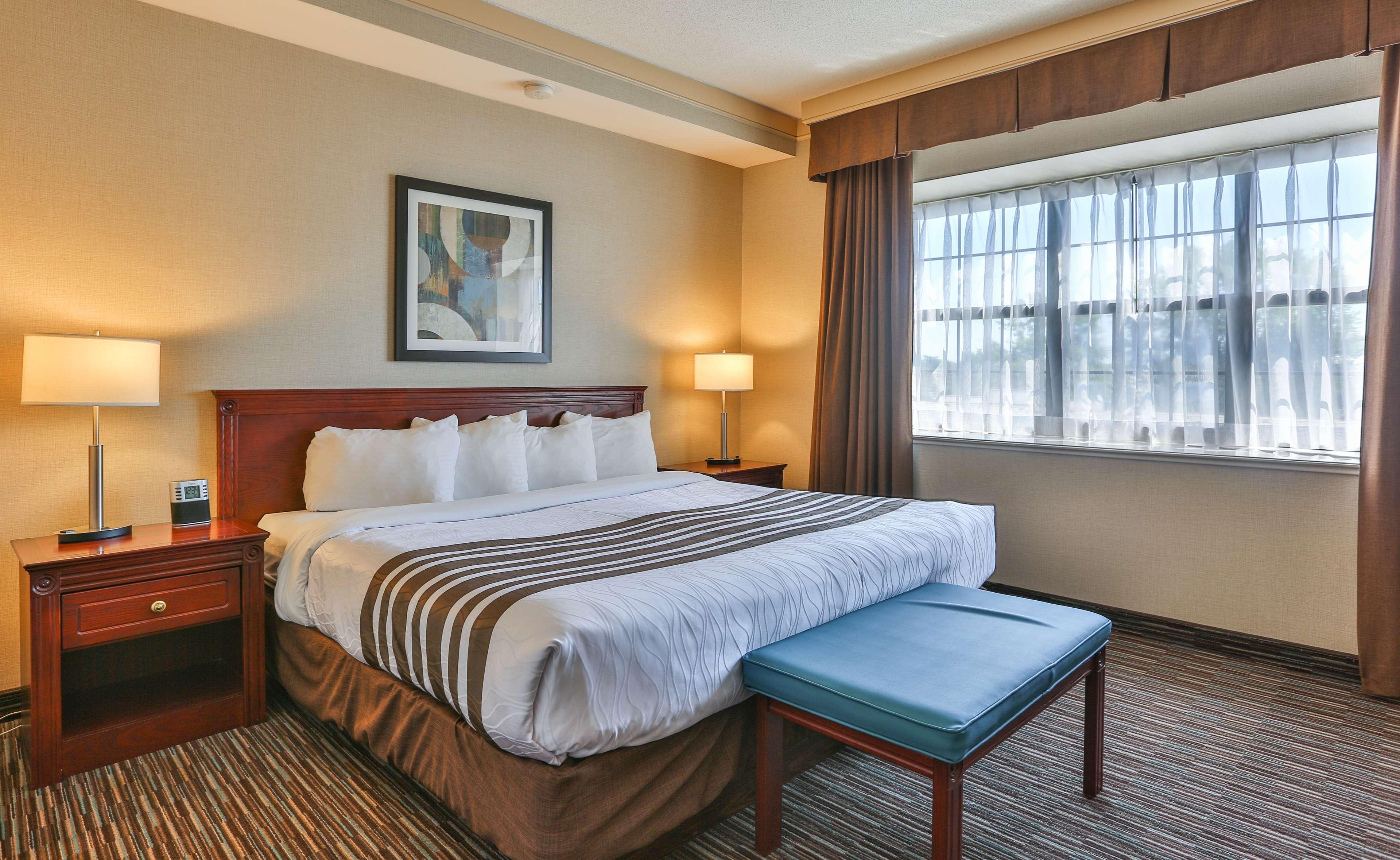 Suite, King Bed