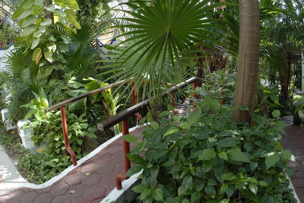 Eco Hotel El Rey del Caribe 42/50