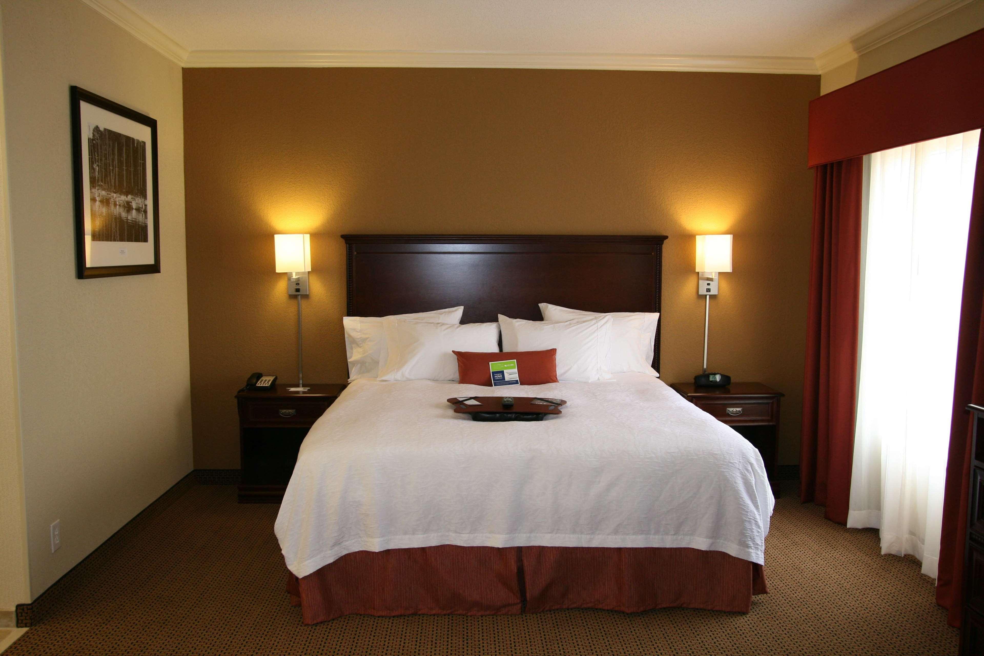 Studio, Suite, King Bed, Sofa