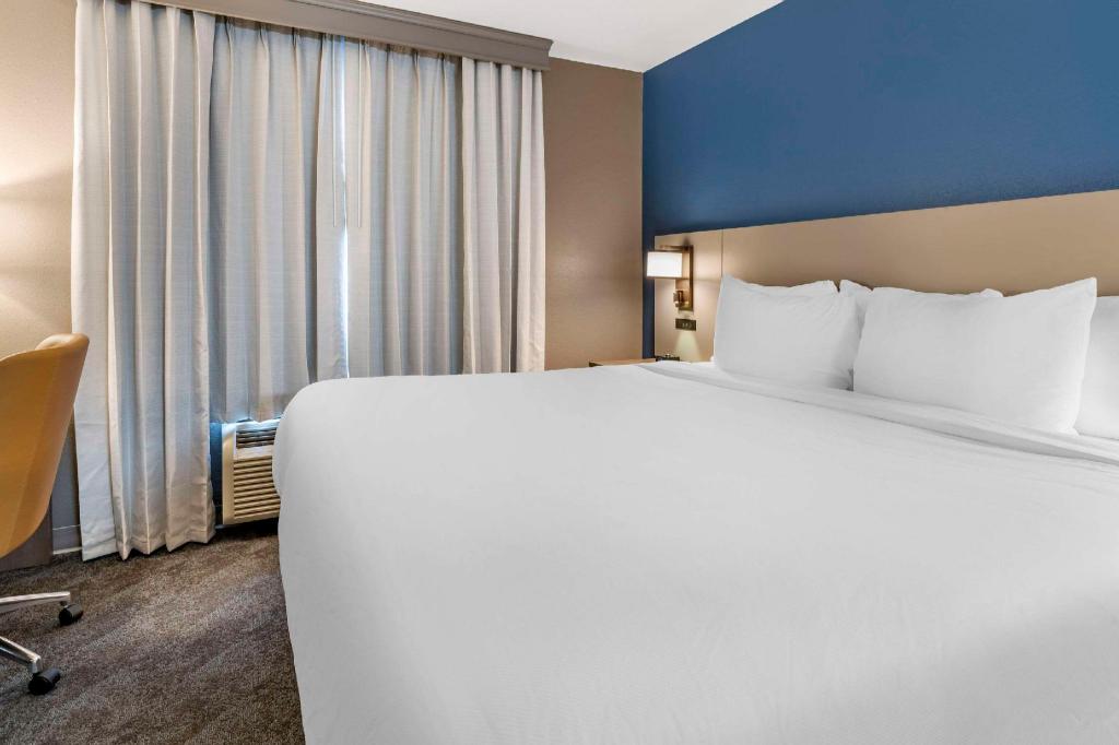 Efficiency, Suite, King Bed