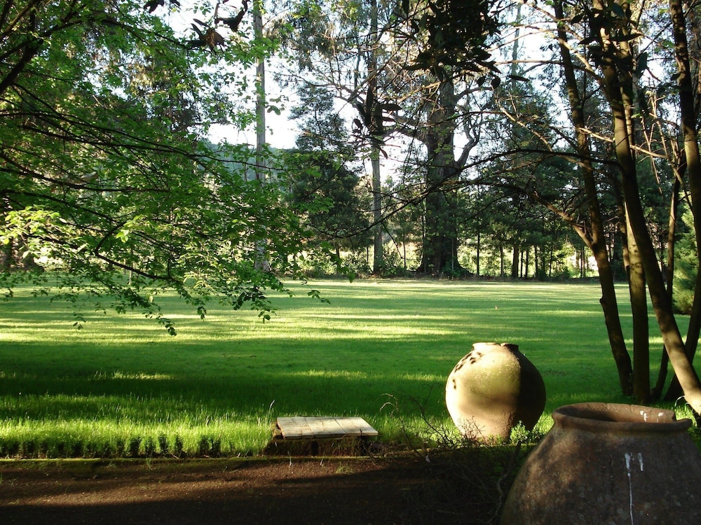 surroundings