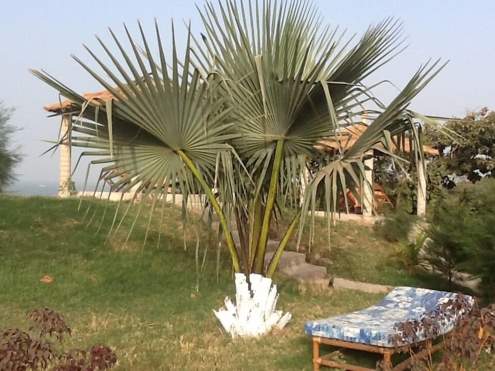 Tanji Bird Reserve Eco-lodge - Adults Only 14/20
