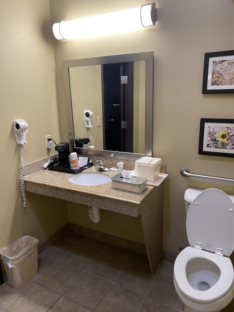 Comfort Inn & Suites Monahans I-20 15/40