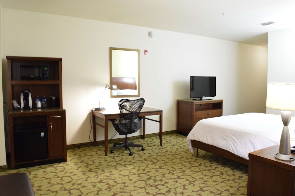 Hilton Garden Inn Rochester Downtown NY 21/66