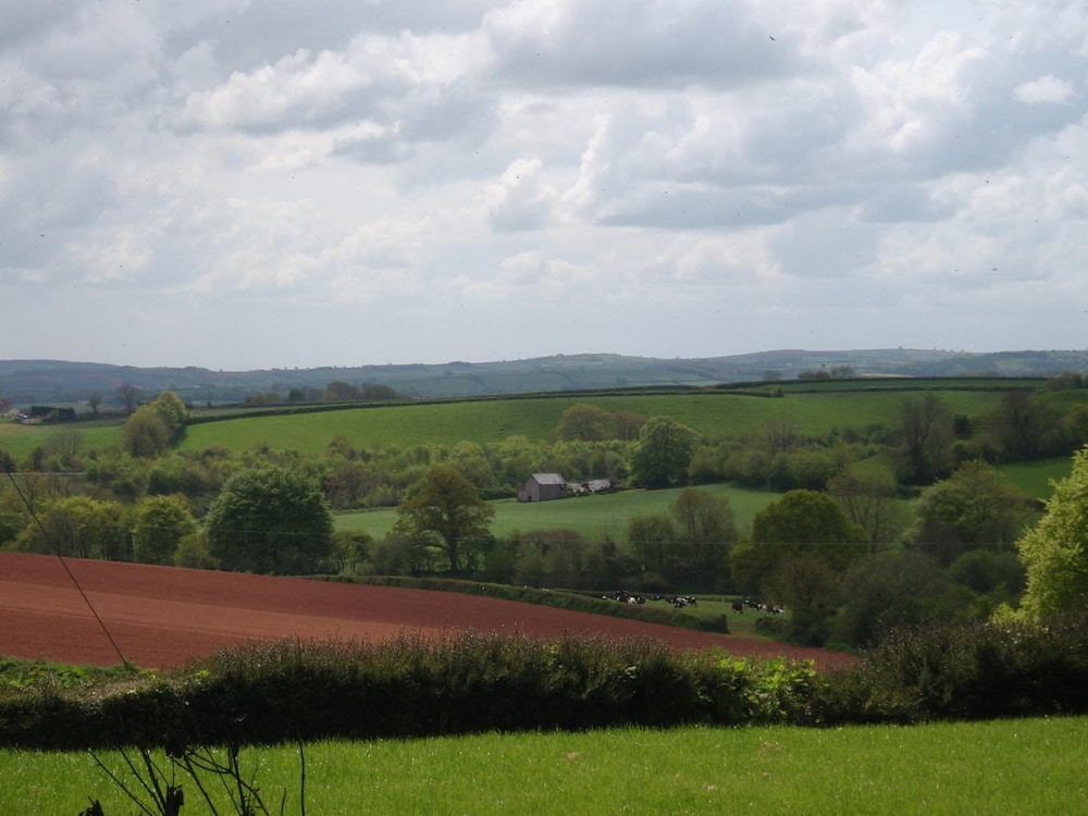 Brambles B&amp;B 30/49