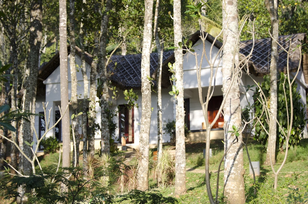 Niraamaya Retreats Cardamum Club 24/36