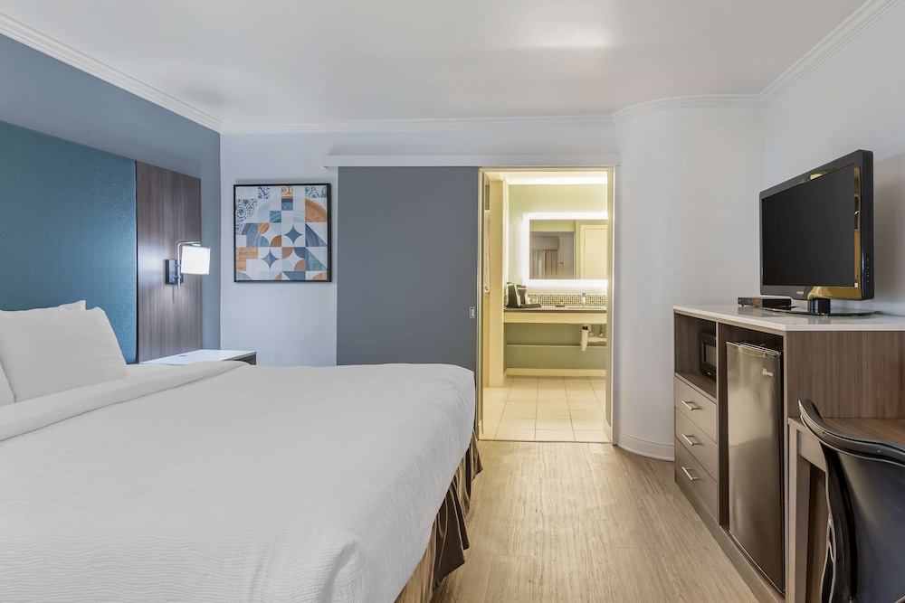 Standard, King Bed, Accessible