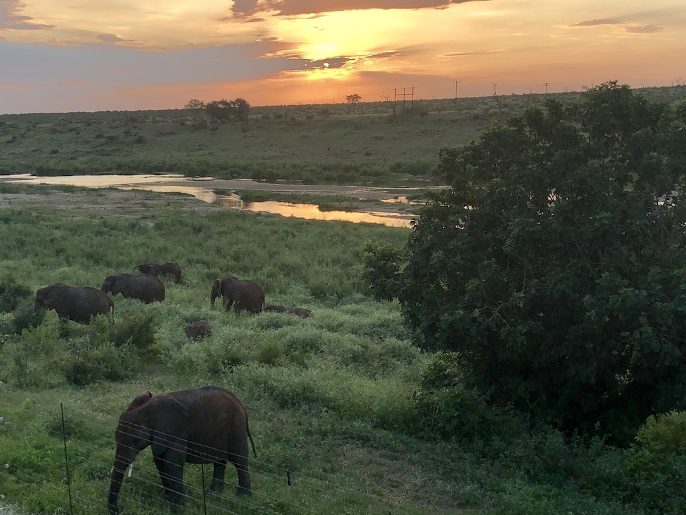 Elephant Walk Retreat 30/50