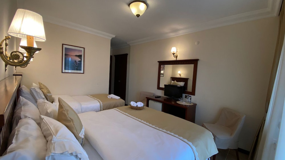 Hotel Alya 15/50