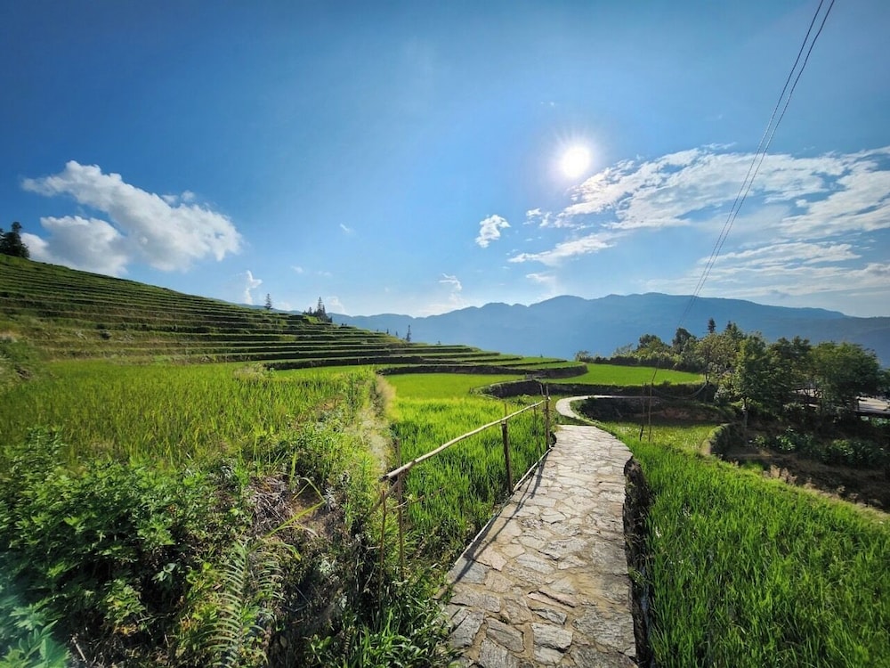 Botanic Sapa 56/58