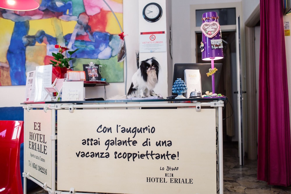 HOTEL RIMINI ERIALE 4/40
