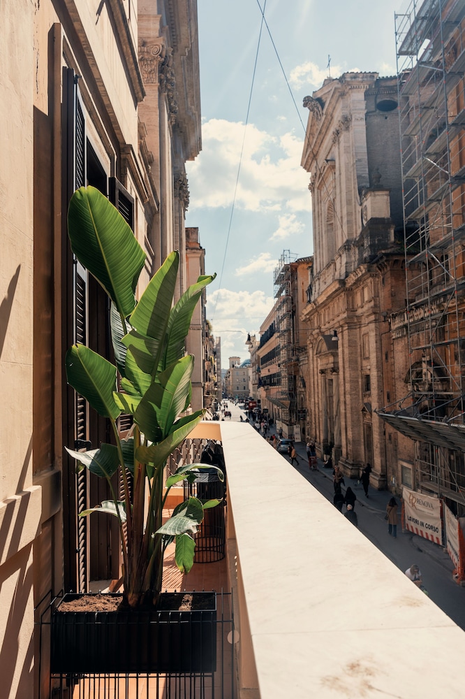 Noblesse Corso 43 21/28