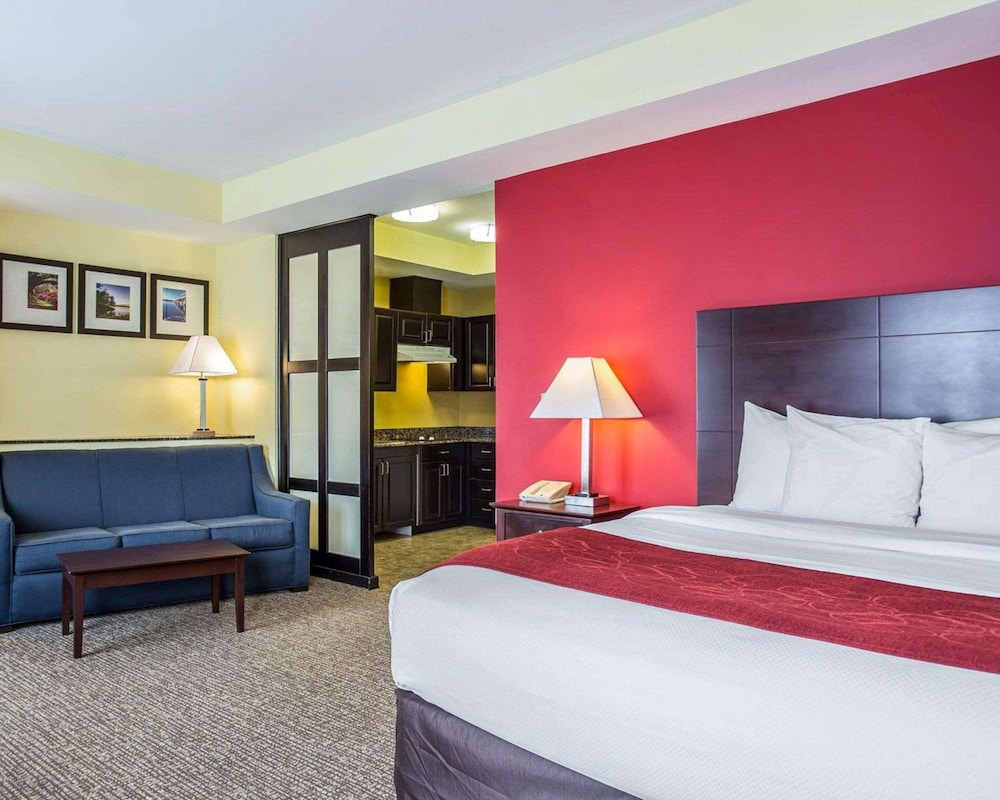 Comfort Suites Rock Hill Manchester Meadows Area 5/25