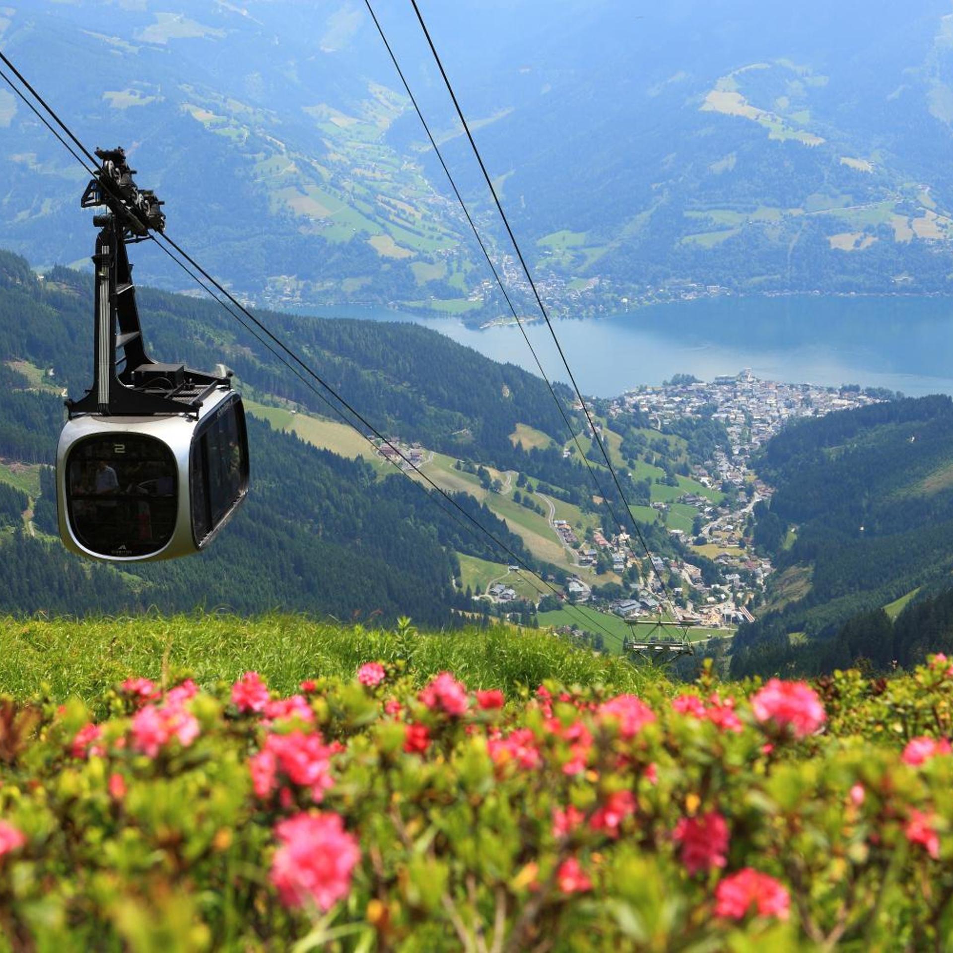 Alpenparks Parkhotel 50/53